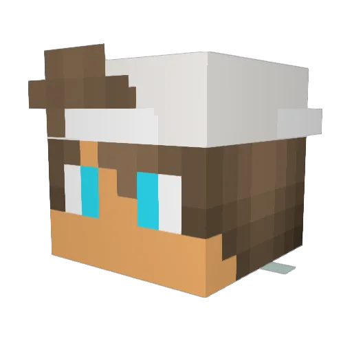 MasonTM Minecraft avatar head, 3D render