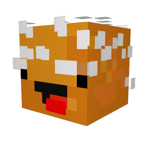 Mason_1000 Minecraft avatar head, 3D render