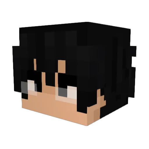 Mason_1177 Minecraft avatar head, 3D render