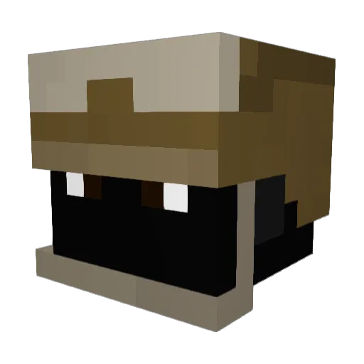 Mason_S Minecraft avatar head, 3D render