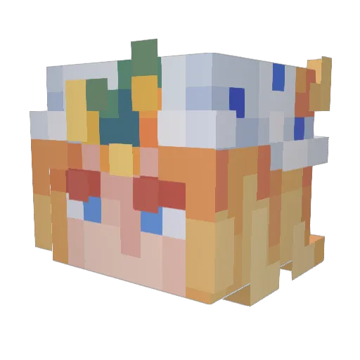 Masonhamilton Minecraft avatar head, 3D render
