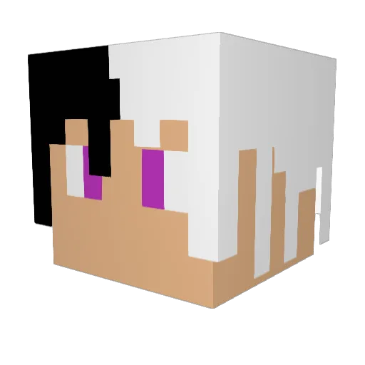 Masonothebean Minecraft avatar head, 3D render