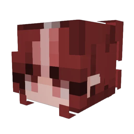 Masox63 Minecraft avatar head, 3D render