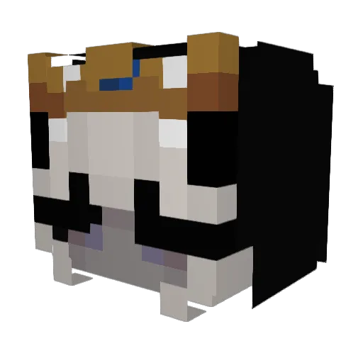 Massidon Minecraft avatar head, 3D render