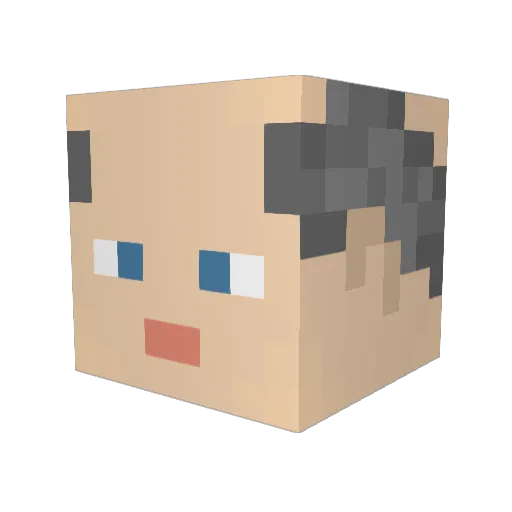 Mast_Broiler Minecraft avatar head, 3D render