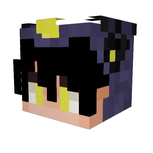 MastaBlasta863 Minecraft avatar head, 3D render
