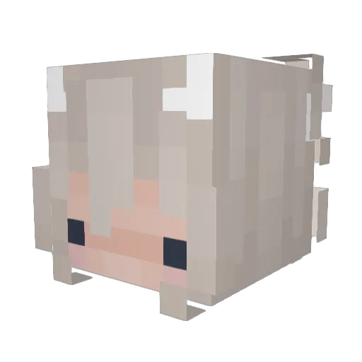 Mastablasta10110 Minecraft avatar head, 3D render