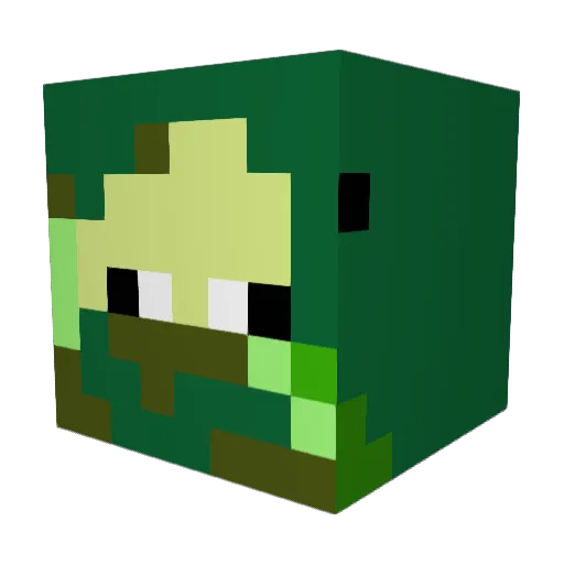 Master307 Minecraft avatar head, 3D render