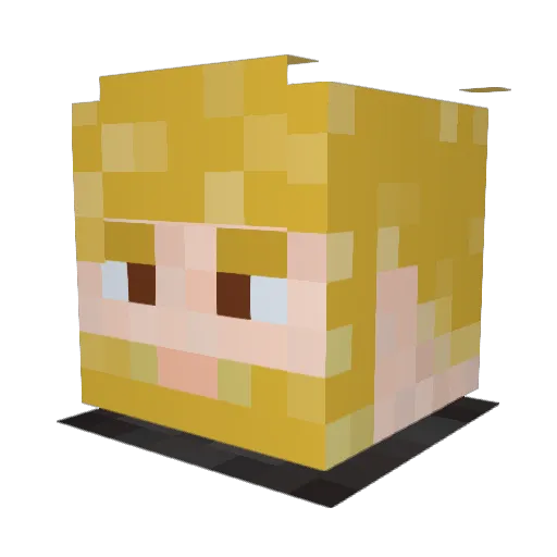 Master8974 Minecraft avatar head, 3D render