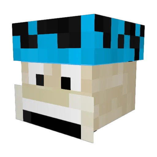 MasterChef666 Minecraft avatar head, 3D render