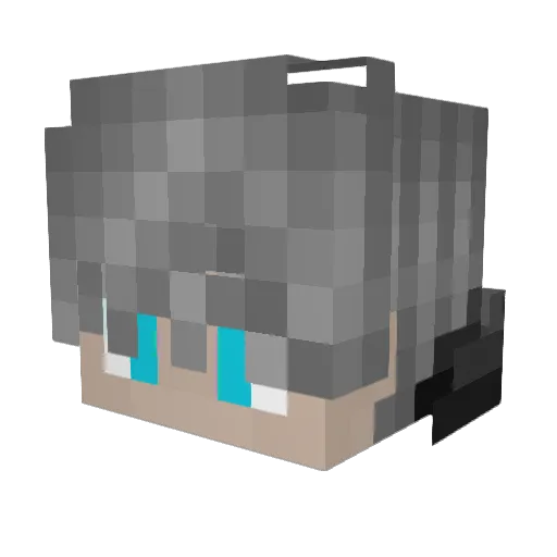 MasterChris56 Minecraft avatar head, 3D render