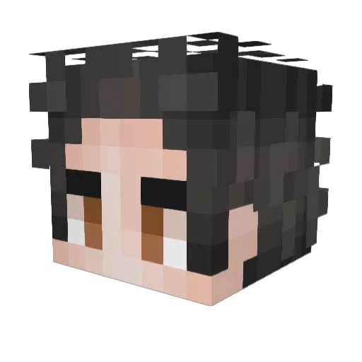 MasterDBon Minecraft avatar head, 3D render