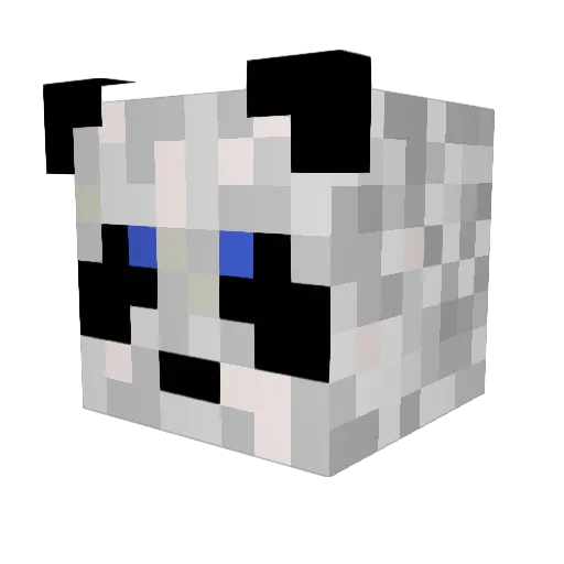 MasterDark1 Minecraft avatar head, 3D render
