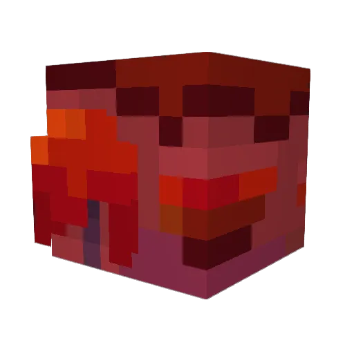 MasterDestroyer9 Minecraft avatar head, 3D render