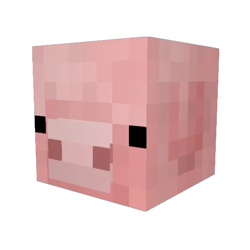 MasterDolly Minecraft avatar head, 3D render