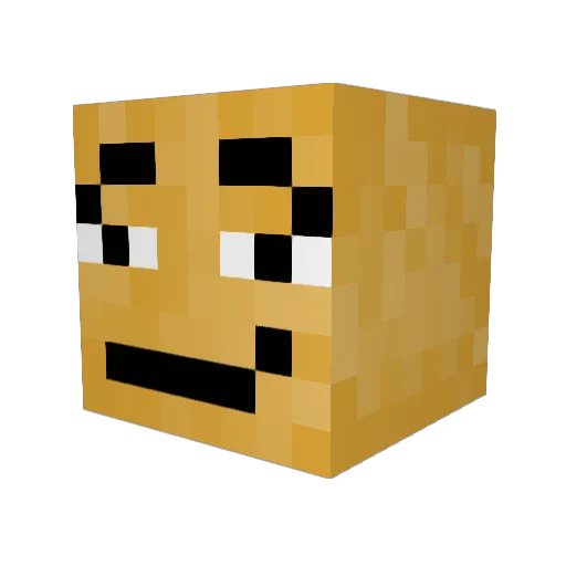 MasterDunk773 Minecraft avatar head, 3D render