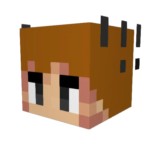 MasterGalli Minecraft avatar head, 3D render