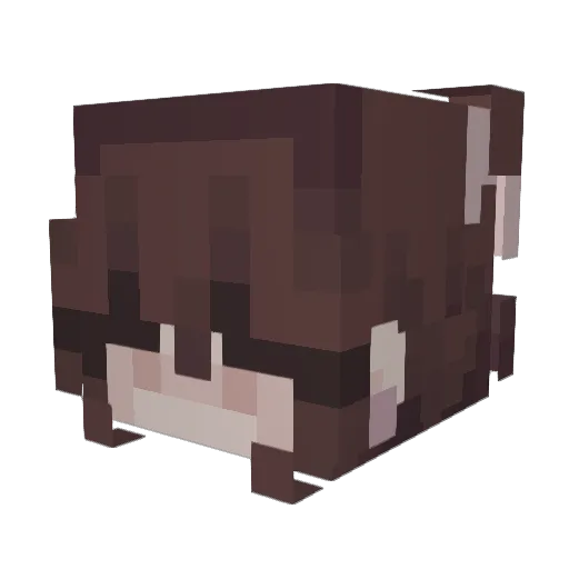 MasterInvincible Minecraft avatar head, 3D render