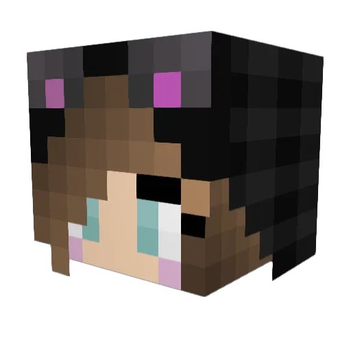 MasterJana Minecraft avatar head, 3D render