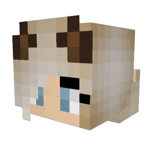 MasterMates8 Minecraft avatar head, 3D render