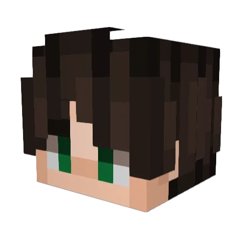 MasterMcMagnus Minecraft avatar head, 3D render