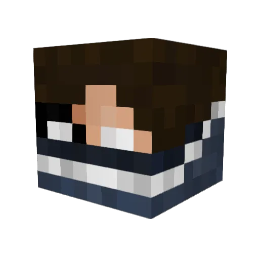 MasterMerijn Minecraft avatar head, 3D render