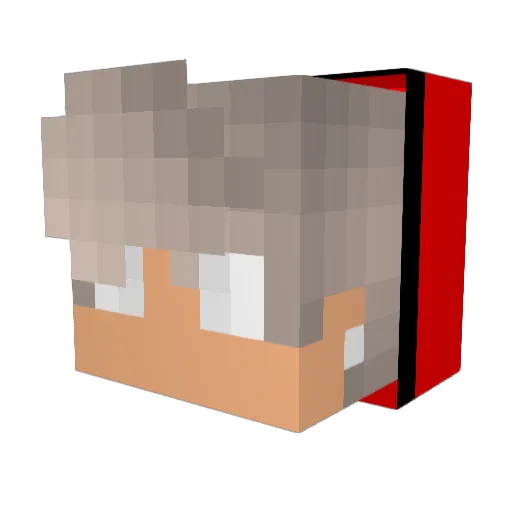 MasterMindMason Minecraft avatar head, 3D render