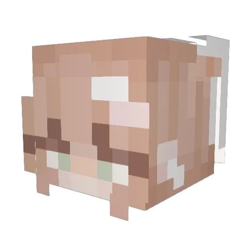 MasterMotard Minecraft avatar head, 3D render