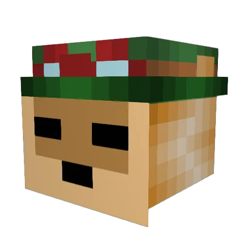 MasterMpoint Minecraft avatar head, 3D render