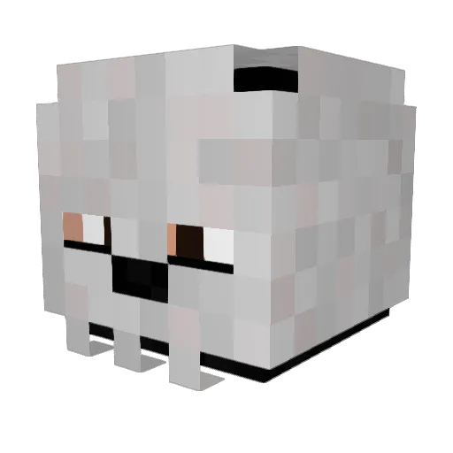 MasterMyeongsoo Minecraft avatar head, 3D render