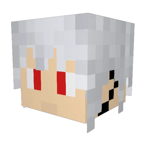 MasterNepu98 Minecraft avatar head, 3D render