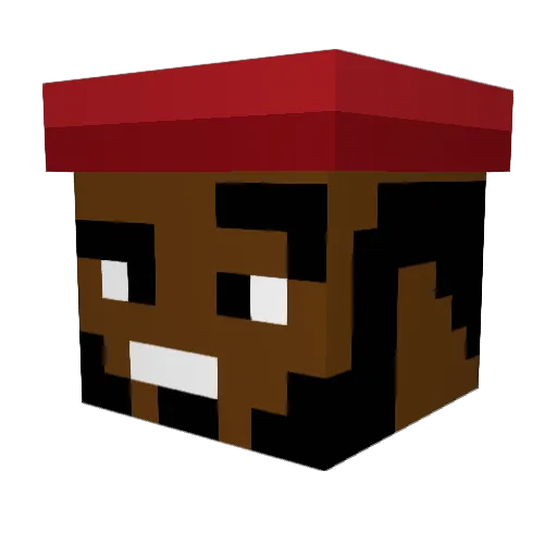 MasterNigfu Minecraft avatar head, 3D render