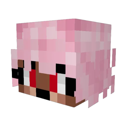 MasterNipper Minecraft avatar head, 3D render