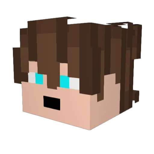 MasterNoahGaming Minecraft avatar head, 3D render