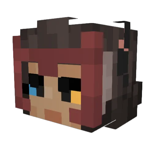 MasterOfSwaag Minecraft avatar head, 3D render