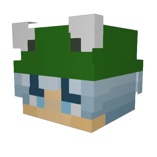 MasterOfTurtles_ Minecraft avatar head, 3D render