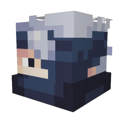 MasterOogway315 Minecraft avatar head, 3D render