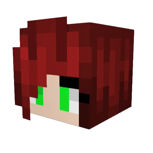 MasterRadox Minecraft avatar head, 3D render