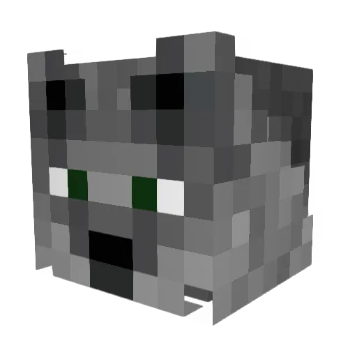 MasterRoboto Minecraft avatar head, 3D render