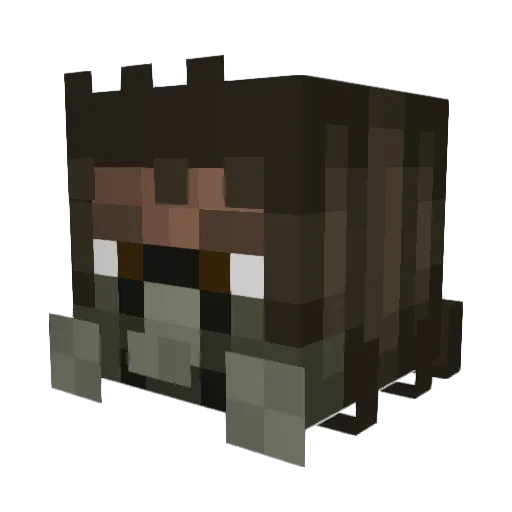 MasterRozen Minecraft avatar head, 3D render