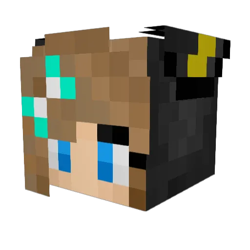 MasterSalmon Minecraft avatar head, 3D render