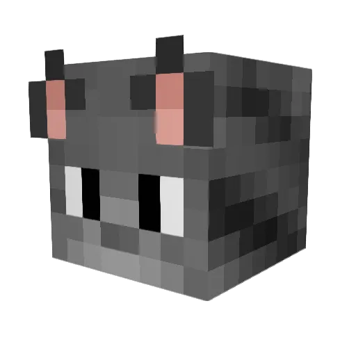 MasterSauucy Minecraft avatar head, 3D render