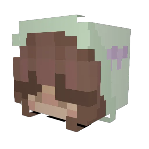 MasterShifu7 Minecraft avatar head, 3D render