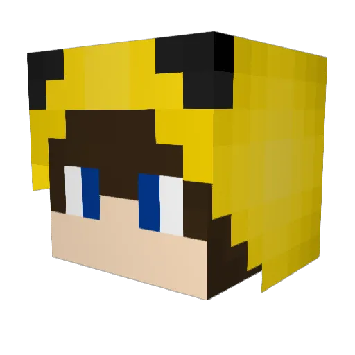 MasterSimba Minecraft avatar head, 3D render