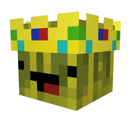 MasterSlayer2009 Minecraft avatar head, 3D render