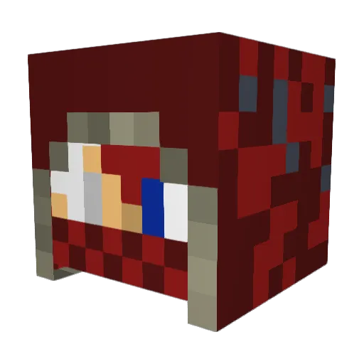 MasterSlayerMC Minecraft avatar head, 3D render