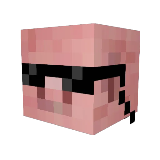 MasterTerryXD Minecraft avatar head, 3D render