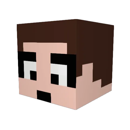 MasterWilly3019 Minecraft avatar head, 3D render