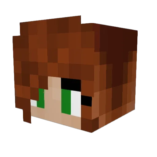 MasterWoo Minecraft avatar head, 3D render