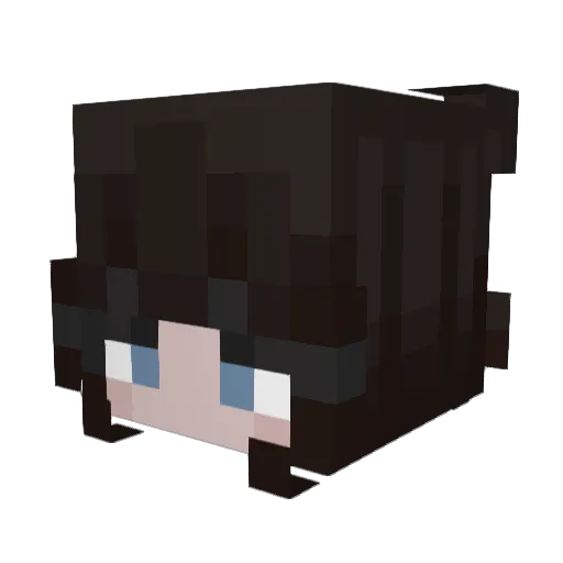 MasterYAW123 Minecraft avatar head, 3D render